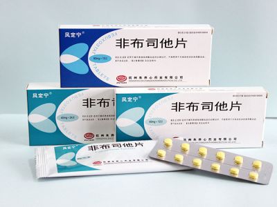 非布司他片（20mg、 40mg）